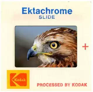 Kodak Ektachrome Slide, Prints from slides, Lethbridge