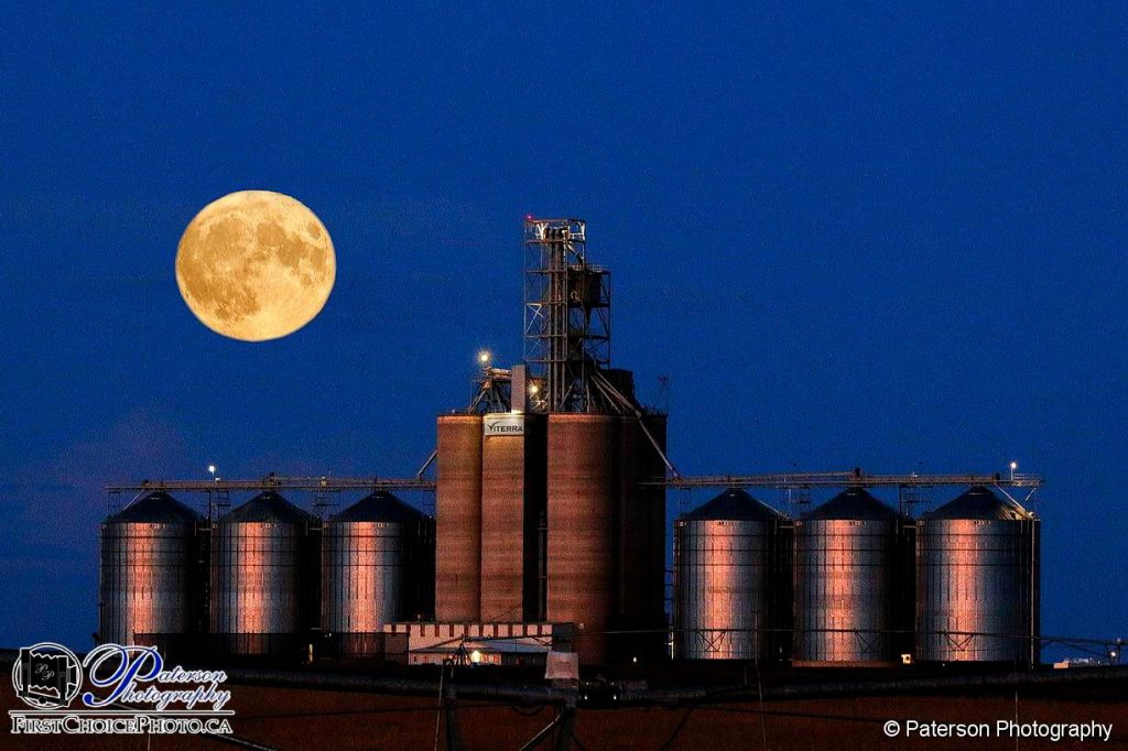 Harvest moon and elevators