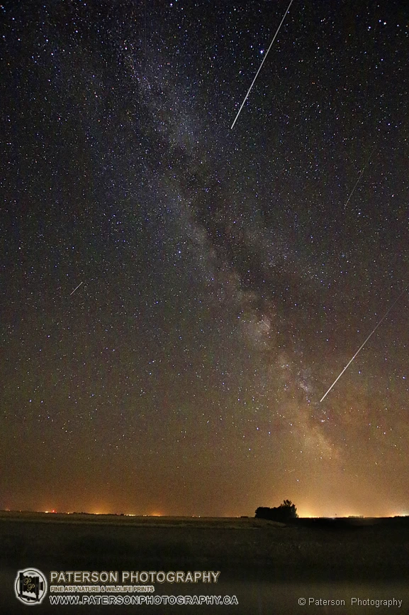 Perseid Meteor Shower A Celestial Extravaganza First Choice Photo